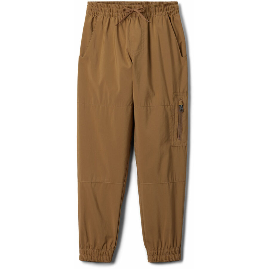 SILVER RIDGE UTILITY CARGO PANT