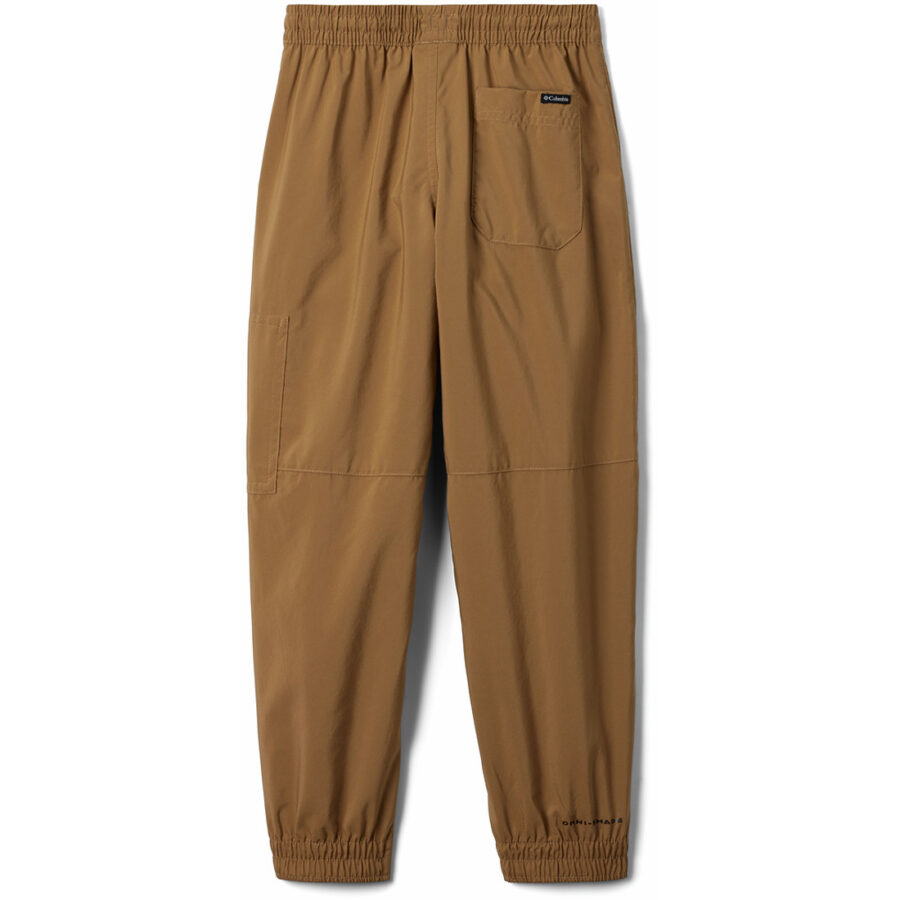 SILVER RIDGE UTILITY CARGO PANT